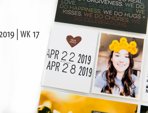 project life 2019 | week 17